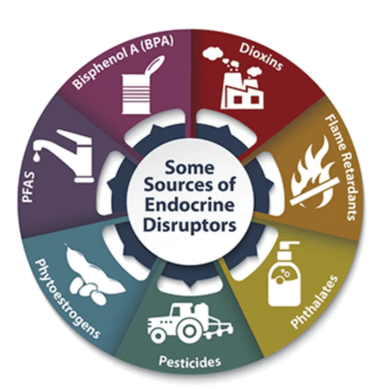 Is Your Dental Work Safe? Understanding Endocrine Disruptors in Composite Resins and Veneers